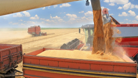 Путин не исключил увеличение экспорта зерна и удобрений